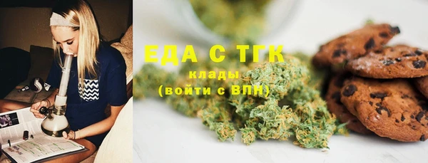 стафф Бородино