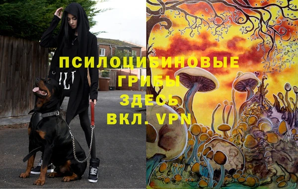 первитин Бронницы