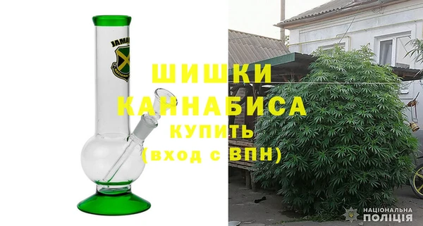 стафф Бородино