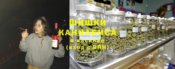 стафф Бородино
